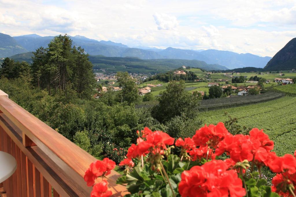 Kreuzstein Bed&Breakfast Appiano Sulla Strada Del Vino Camera foto